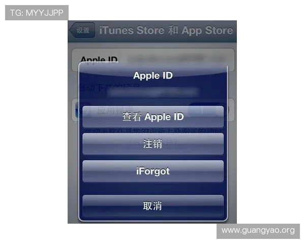 亚星游戏网登录入口账号注册流程详解，新手玩家快速入门指南