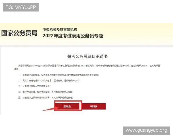 深入了解亚星登录的注册流程与注意事项